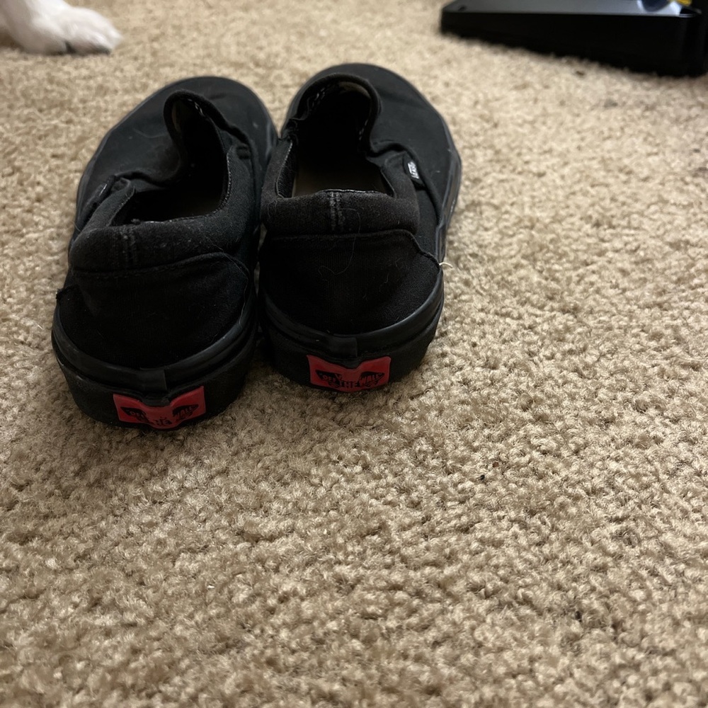 Vans gently worn. Cleaned and no stains or holes .
